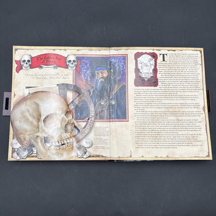 PIRATE SOUL A SWASHBUCKLING JOURNEY THROUGH THE GOLDEN AGE OF PIRATES HARDCOVER