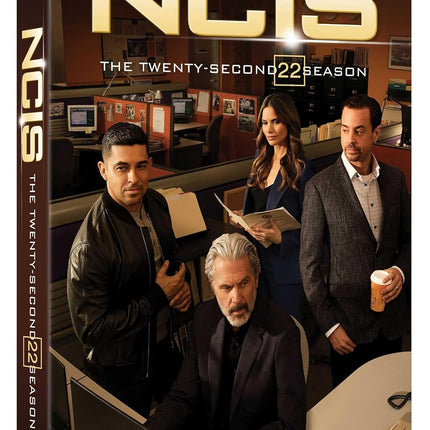 NCIS: Naval Criminal Investigative Service: The Twenty-Second Season
